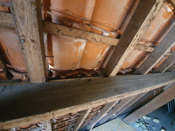 123190_detail_dak_1.jpg