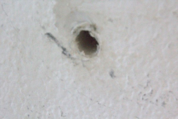 123309_IMG_1889_1.jpg
