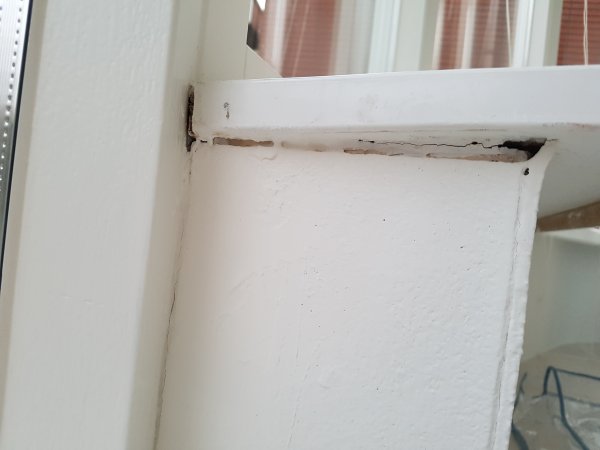 123312_foto_no_exif1_1.jpg