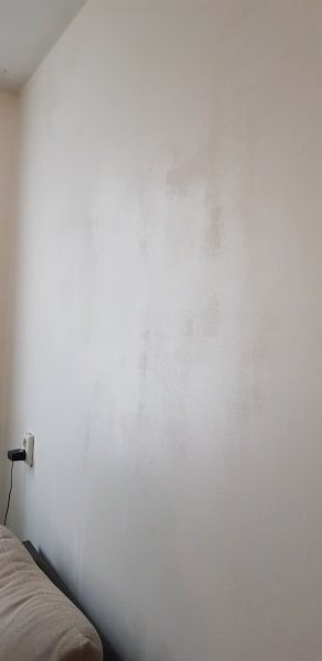 123393_20190402_180246_1.jpg