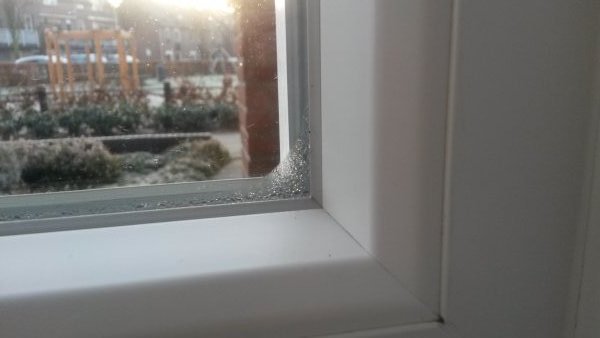 123476_20180218_081708_2.jpg