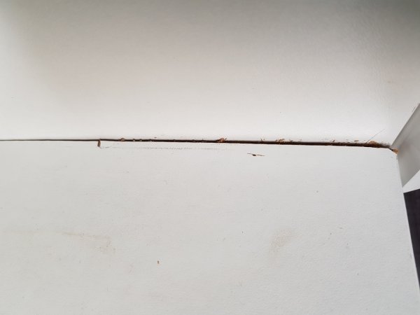 123524_Keuken2_1.jpg