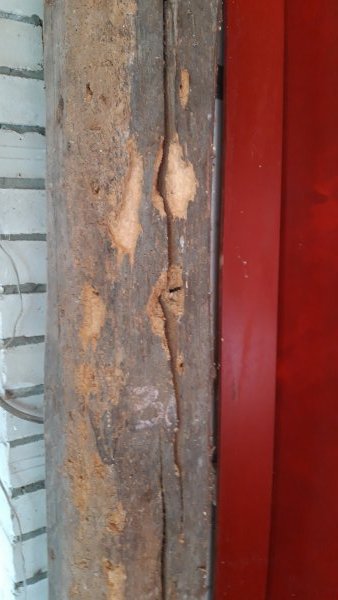 123638_balk_1.jpg