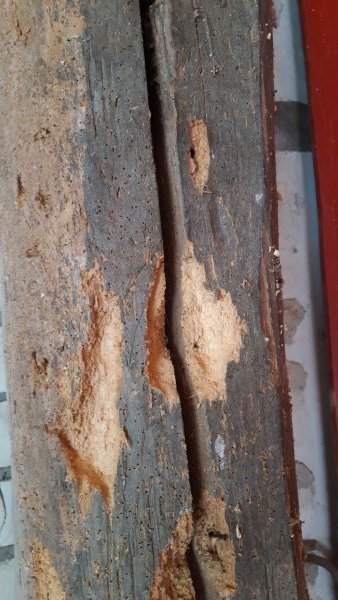 123638_balk_detail_1.jpg