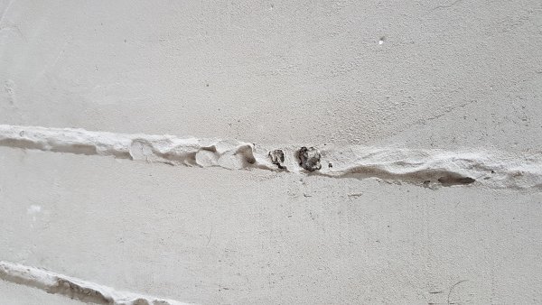123780_foto_1_2.jpg
