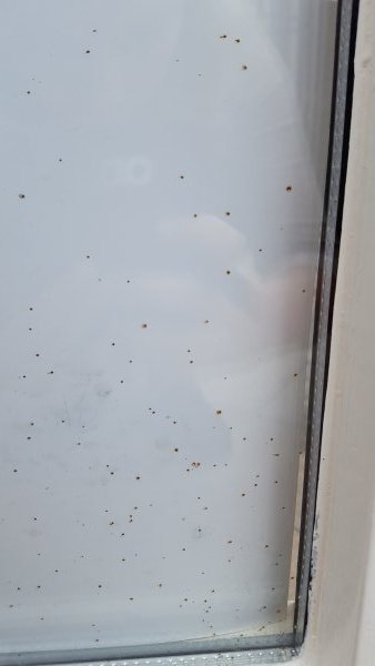 123836_Foto_1_1.jpg