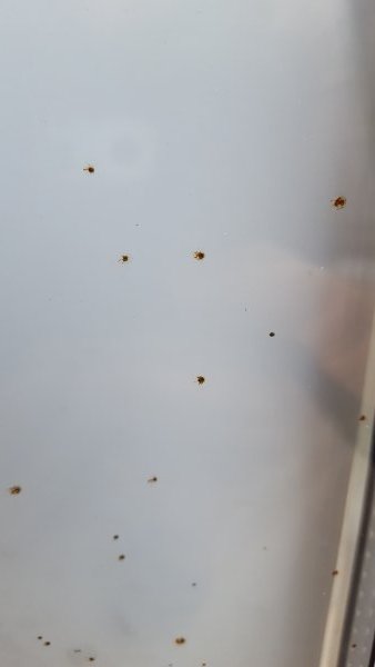123836_Foto_2_1.jpg