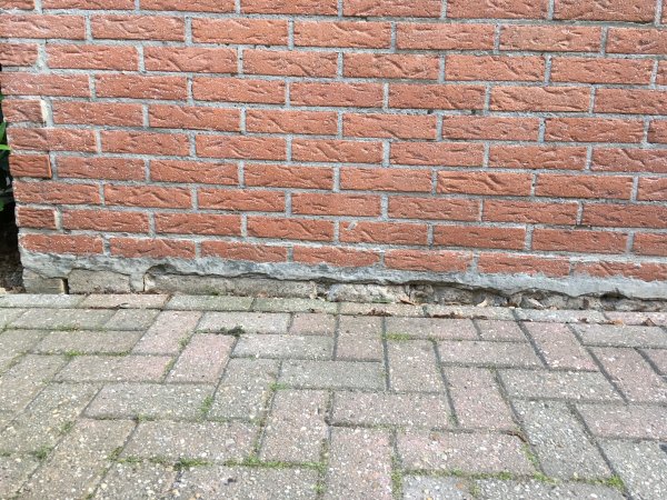 123850_IMG_3906_5.jpg