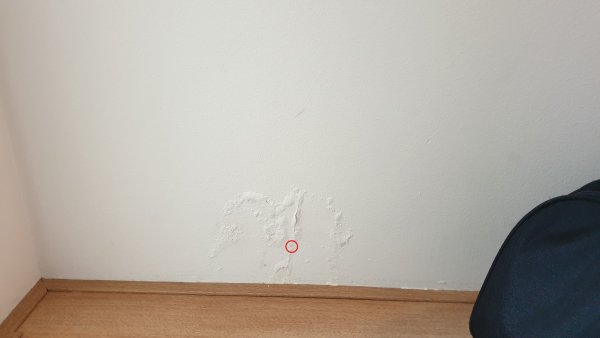 124912_Foto_1_1.jpg