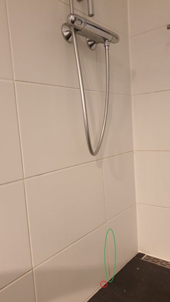 124912_Foto_2_1.jpg