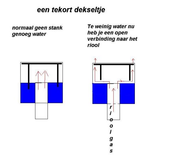 12496_tekort_dekseltje_1.jpg
