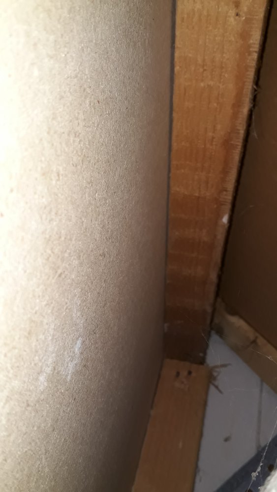 125159_20191017_182354_2.jpg