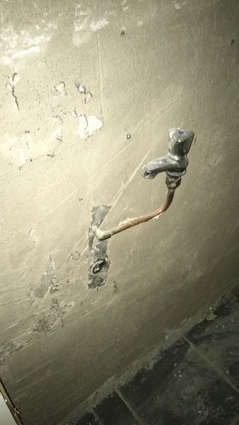 125476_7EEC1295658544E590B9B8E1240CE377_1.jpg