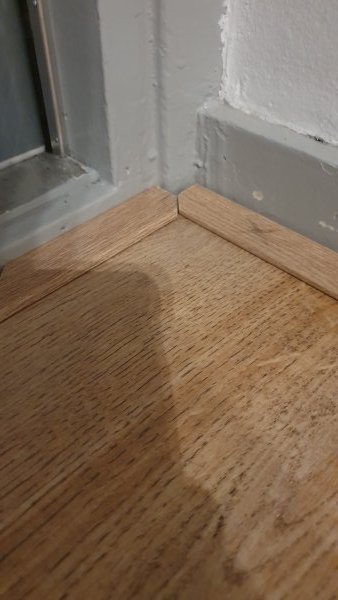 125560_20191019_204558_1.jpg