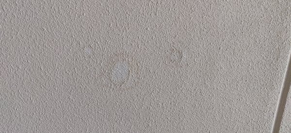 125665_IMG_20191027_105723_3.jpg
