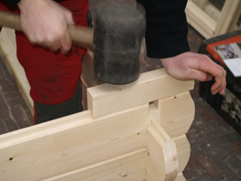 125708_montage_001_1.jpg