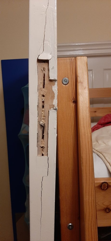 repareren bij scharnier gescheurde deur klusidee nl