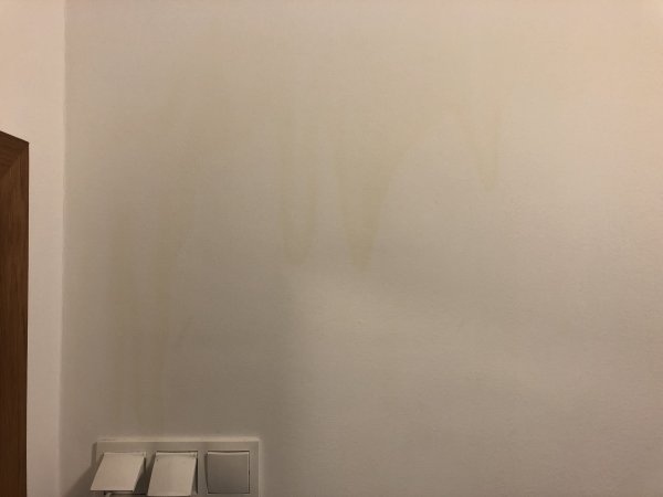 125737_IMG_2811_1.jpg