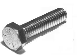 12593_bout_1.jpg