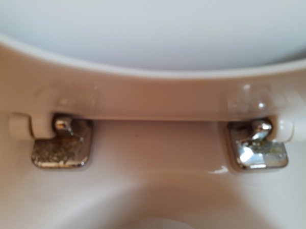 126174_toilet2_1.jpg