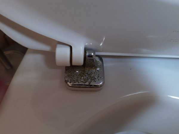 126174_toilet_5.jpg