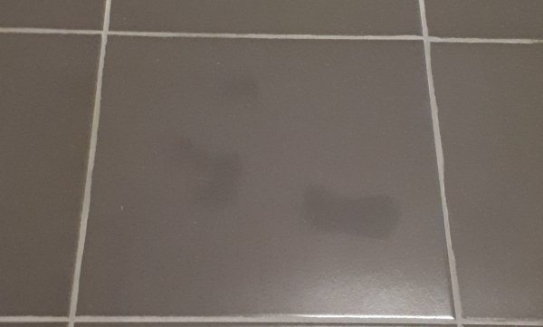 126355_20191208_153053_1.jpg