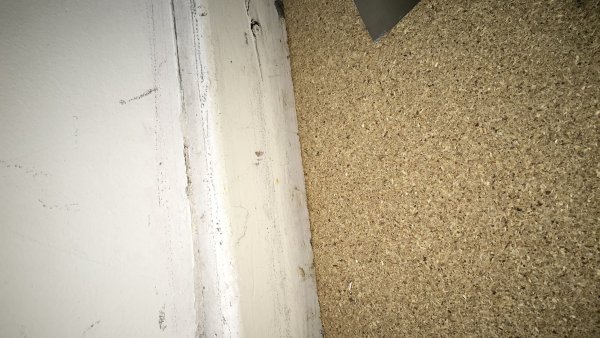 126470_2FEF2B19C4554859A98FC3785DC0DF84_1.jpg