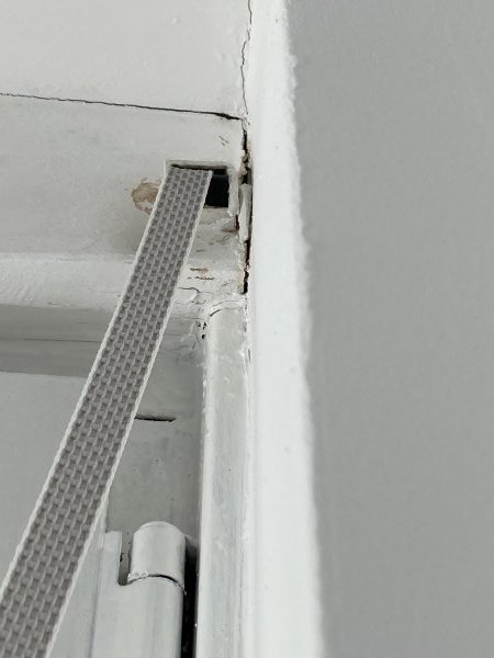 126809_IMG_8500_1.jpg
