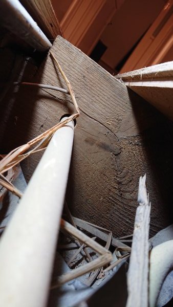 126900_DSC_1686_1.jpg