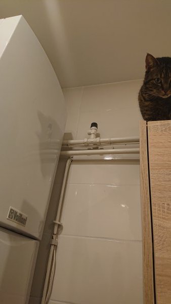 126900_DSC_1879_1.jpg
