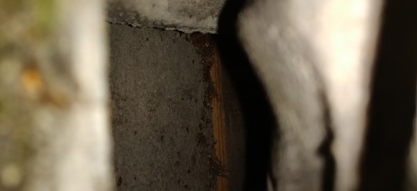 126918_IMG_20200117_211124_3.jpg