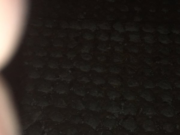 127334_44627E1EC05140349502AD61F4487F43_1.jpg