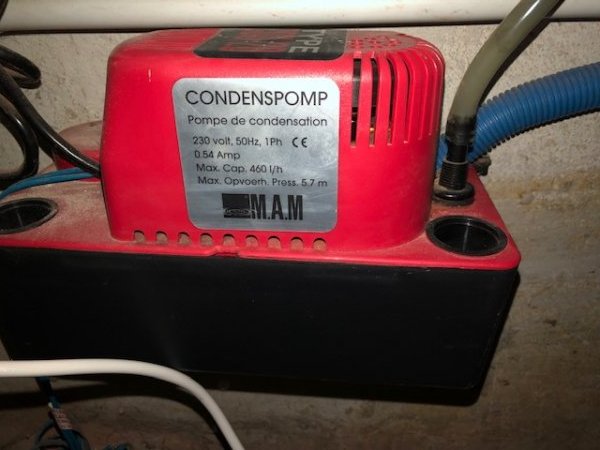 127998_Pomp_1.jpg