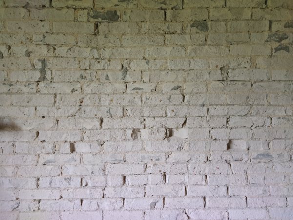 128323_IMG_20200423_145223_1.jpg