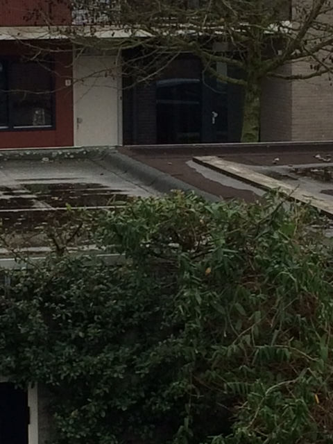 mooi zo Contract vasteland Nieuw epdm dak laten aansluiten op bestaand bitumen dak. | KLUSIDEE.NL