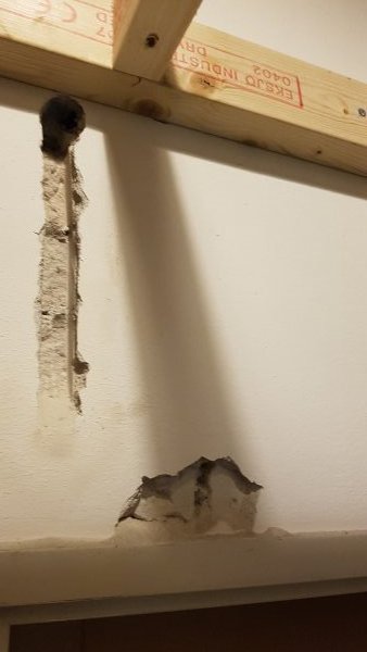21660_20180115_203942_1.jpg