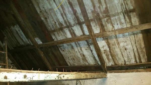 22739_20160406_064420_1.jpg