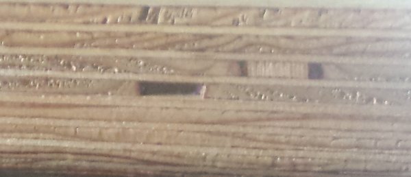 2464_20170724_092335_1.jpg