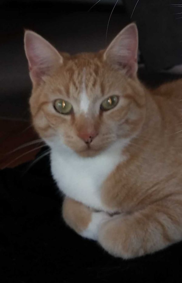 2464_kat_1.jpg