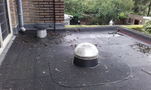29035_114138_20160621_094615_1_1.jpg