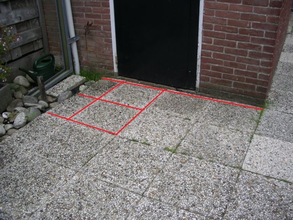 29035_Kattestaart_lijnen_zout_1.jpg
