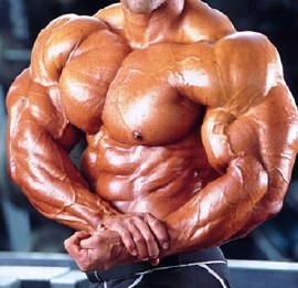 2_bodybuilder_1.jpg