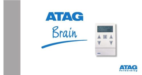 2_brain1_1.jpg