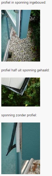 2_prof_1.jpg