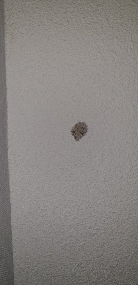 33255_Plafond1_2.jpg