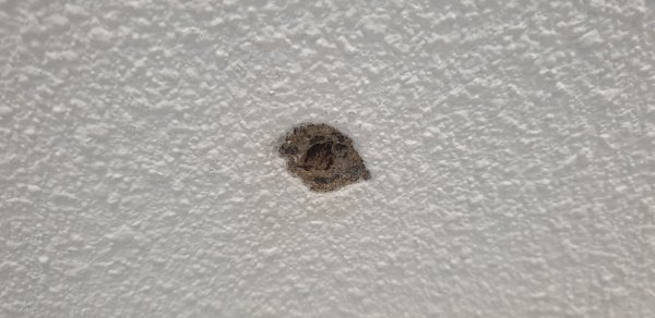 33255_Plafond4_1.jpg
