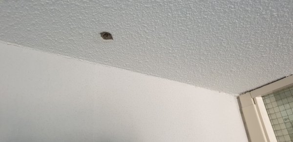 33255_Plafond5_1.jpg