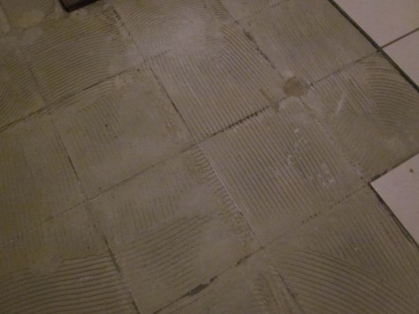 33994_IMG_1436a_1.jpg