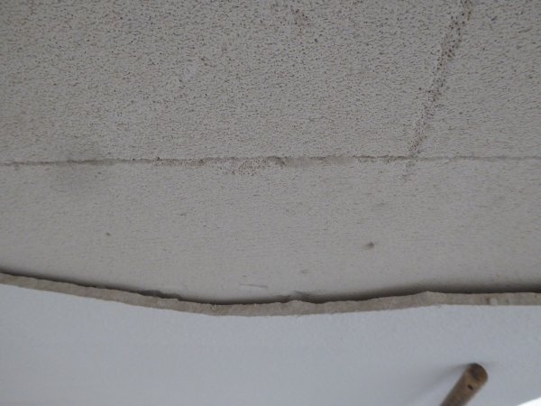37162_P1030278_2.jpg