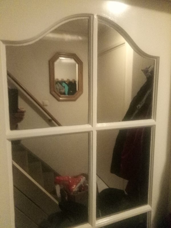 3950_IMG_20191219_004131_1.jpg